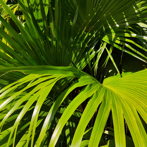 武则天裸体被强扒衣服
